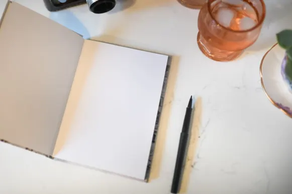 카지노 미스터 베가스 지원